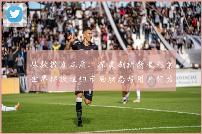 从数据看本质：深度剖析新浪彩票世界杯投注的市场动态与用户行为